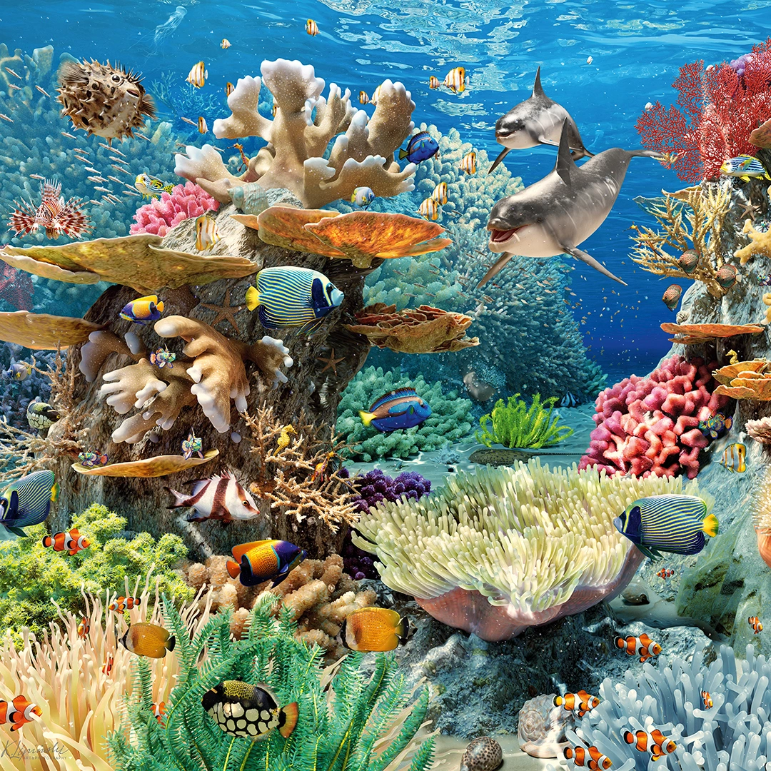 Image of a coral reef big picture