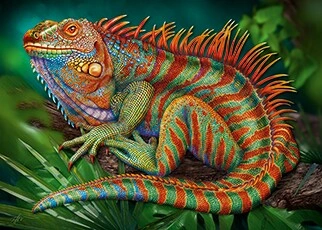 Colorful painting of an Iguana lizzard