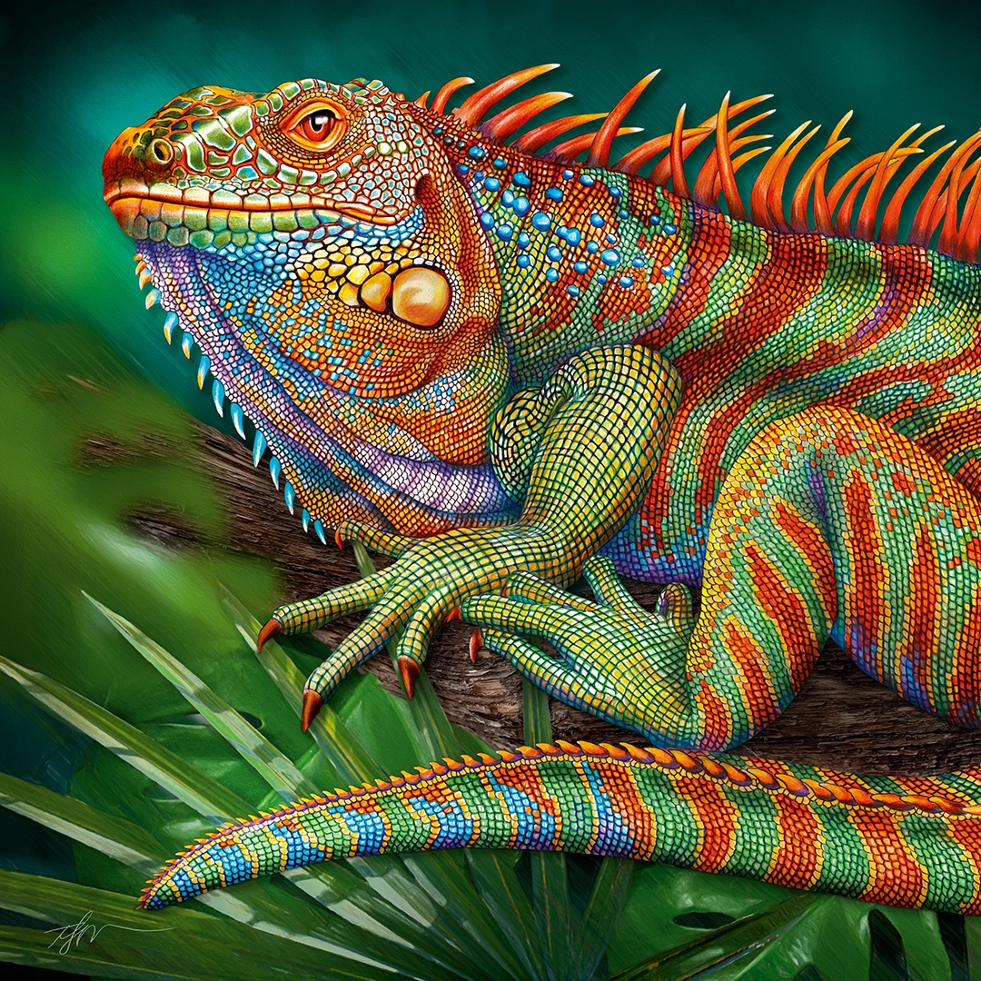 Colorful painting of an Iguana lizzard big picture