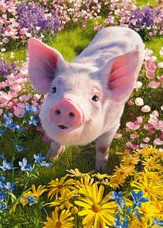 An image of a piglet standing on a meadow of flowers