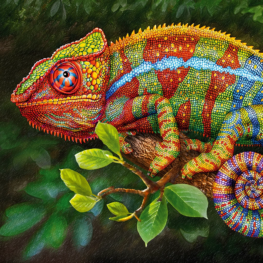 Image depicting Colorful Chameleon big picture