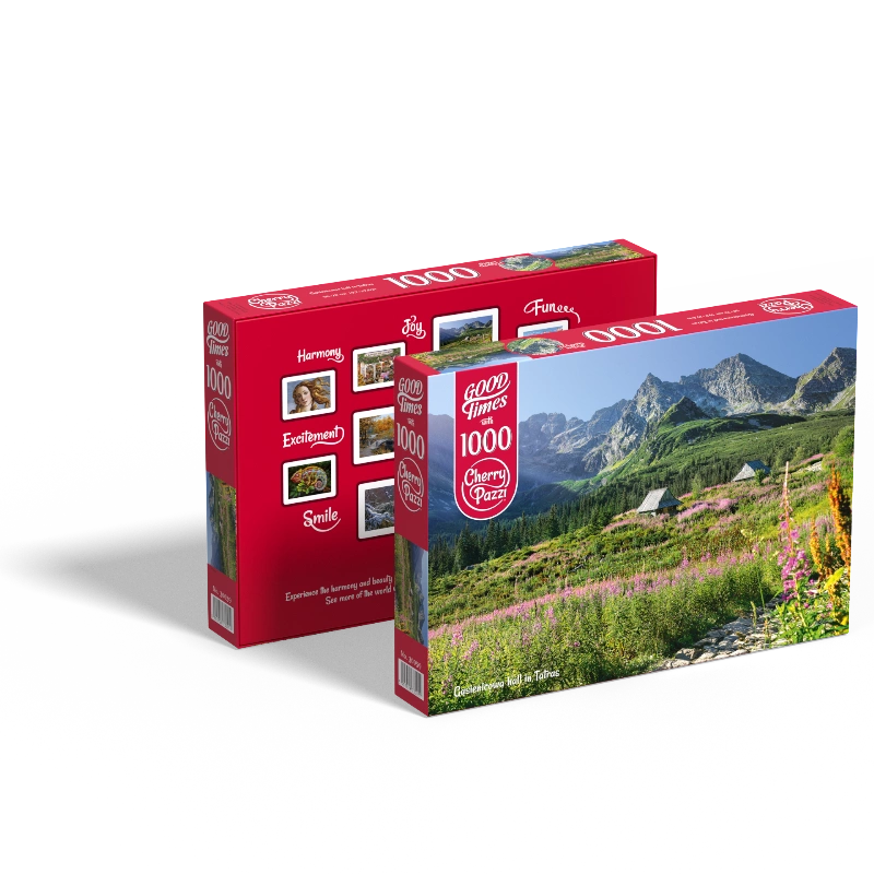 picture of 'Gasienicowa hall in Tatras' product box