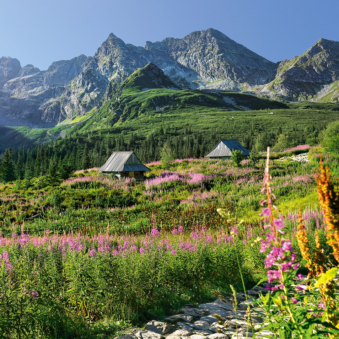 View overlooking Tatra mountains big picture