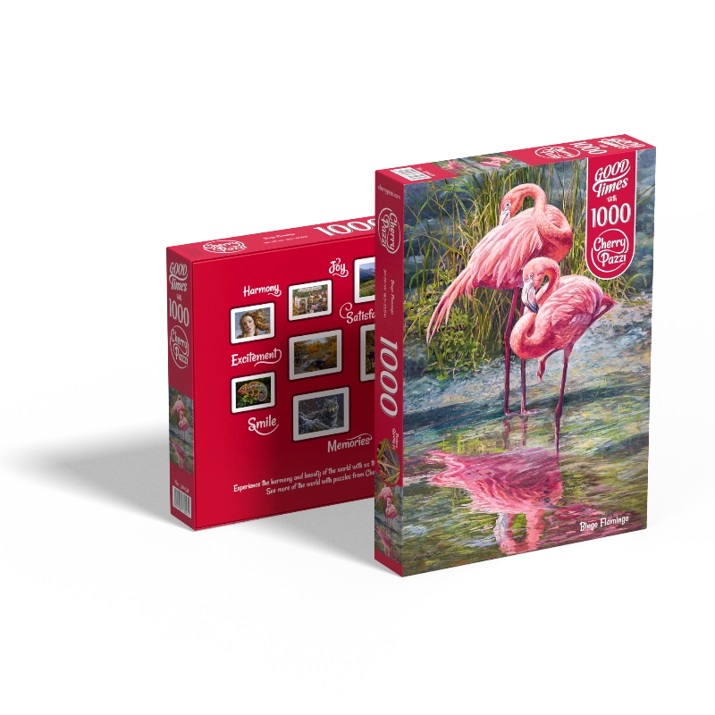 picture of 'Bingo Flamingo' product box