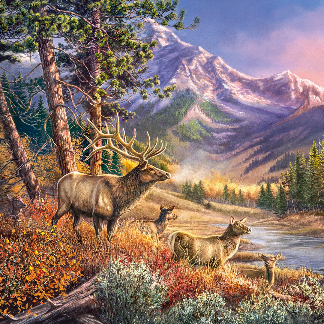 Image of Elk in a riverside forest, near a mountain big picture