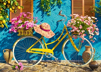 Image of a bike standing against the wall