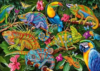 Lizards, Parrot and a Tucan in a thick green leaves