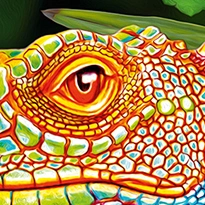 closeup picture of some of the details in Amazing Chameleons product