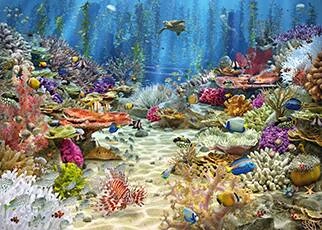 Coral reef filled with colorful corals and beautiful fish schools