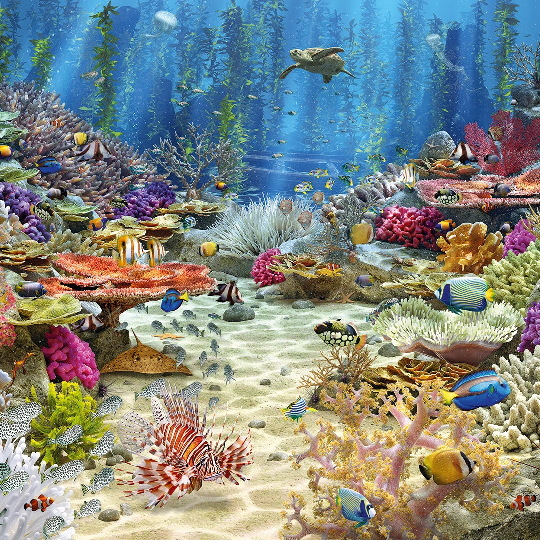 Coral reef filled with colorful corals and beautiful fish schools big picture