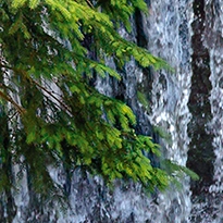 closeup picture of some of the details in Forest Cascade product